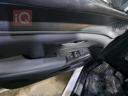 بي واي دي ‎سونغ برو DM-i